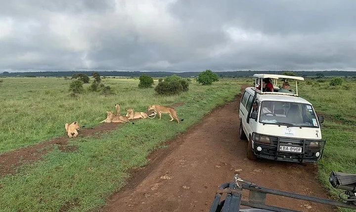 Nairobi national park Elephant orphanage and giraffe center tour.