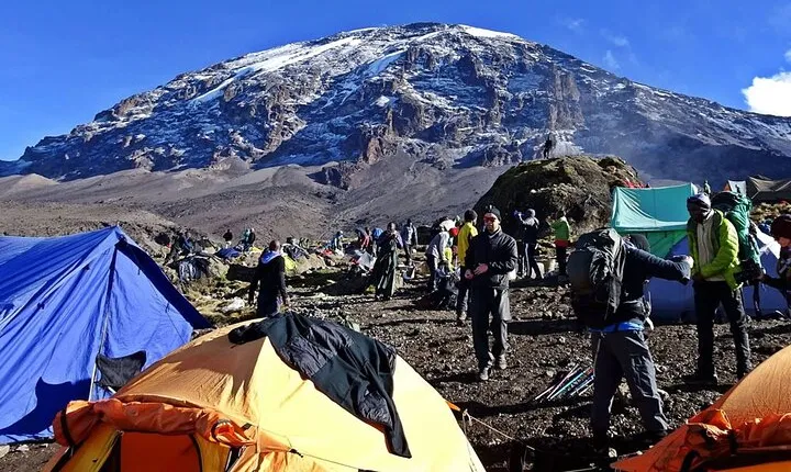 7 Days Mountain Kilimanjaro Climb Via Rongai Route