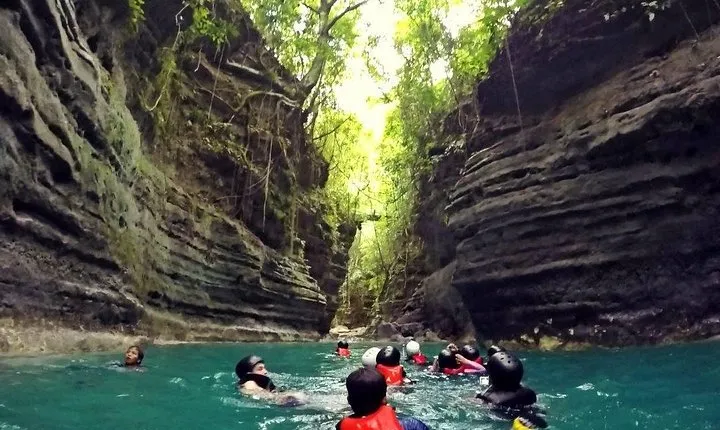 Cebu Whale Shark Interaction, Moalboal Sea Turtles, Sardines Run & Canyoneering