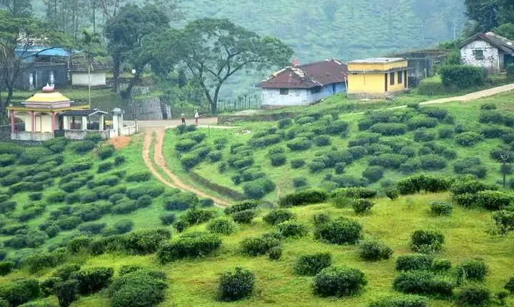 Explore The Rustic Life Of Thekkady