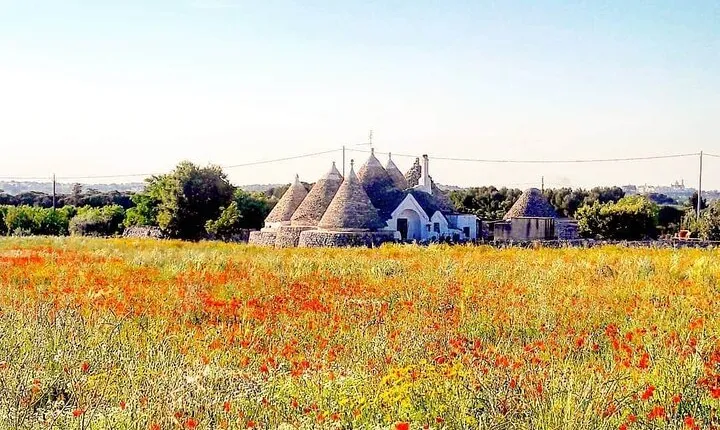 Puglia Full-Day Tour: Bari, Trulli of Alberobello, Castel del Monte and Sassi of Matera