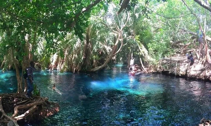 Kikuletwa Hot Spring Day Tour