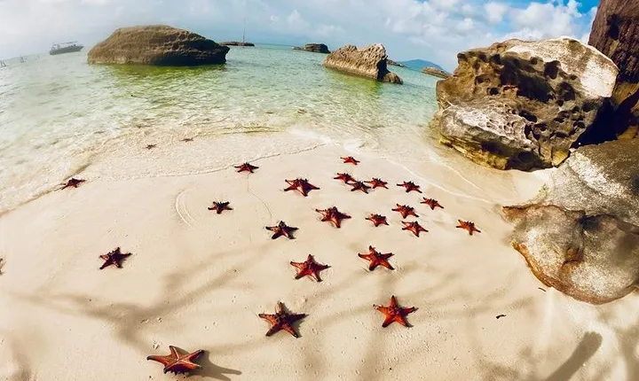 Land Tour 2: Discover the North - Kayaking & Starfish beach Phu Quoc (Not Lunch)