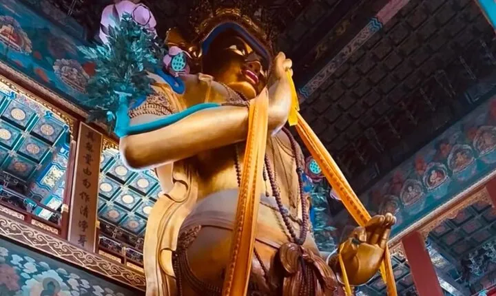 Lama and Confucius Temple with Imperial College Tour