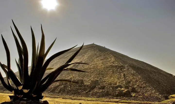 Tour to the Pyramids of Teotihuacán and Basilica of Guadalupe