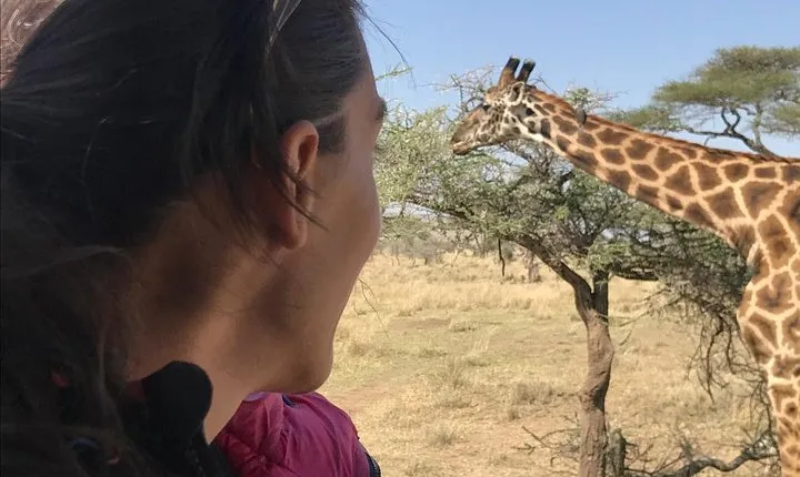 3 days Safari to Tarangire ,Lake Manyara and Ngorongoro crater
