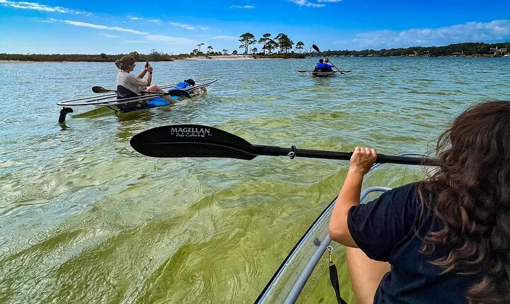 Clear Kayak Ecotour Destin Ft. Walton Beach