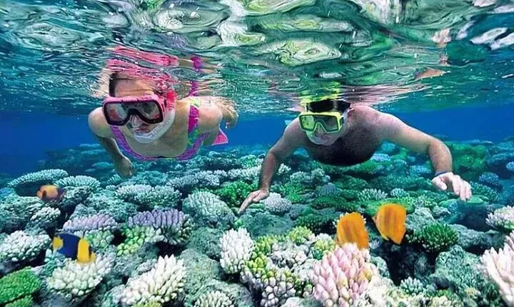 Trekking and Snorkeling in Nhơn Lý