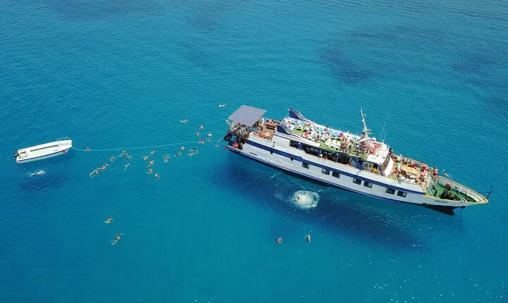 Half-Day Odyssey Guided Boat Safari with Lunch in Cyprus