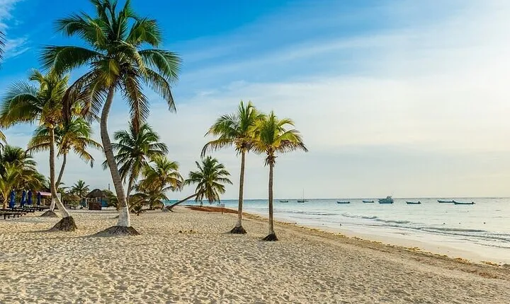 Explore 2 Cenotes and 1 Lagoon and Playa Paraiso from Cancun