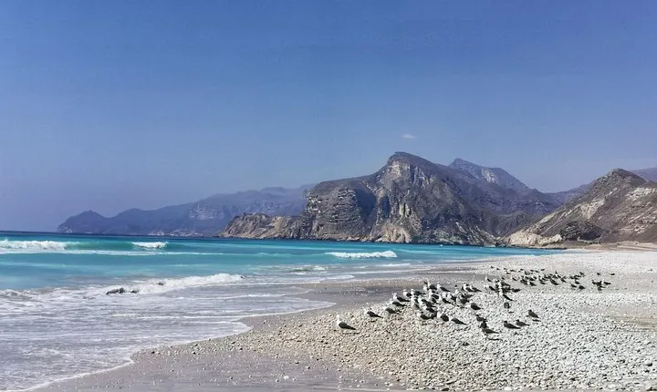 8 Hours of West Salalah Best | Private Tour