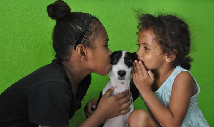 Shelter Visit & Tour