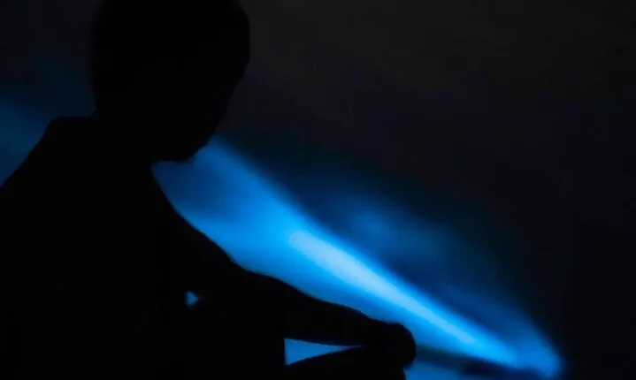 Bio-Luminescence and Sunset Kayak Tour