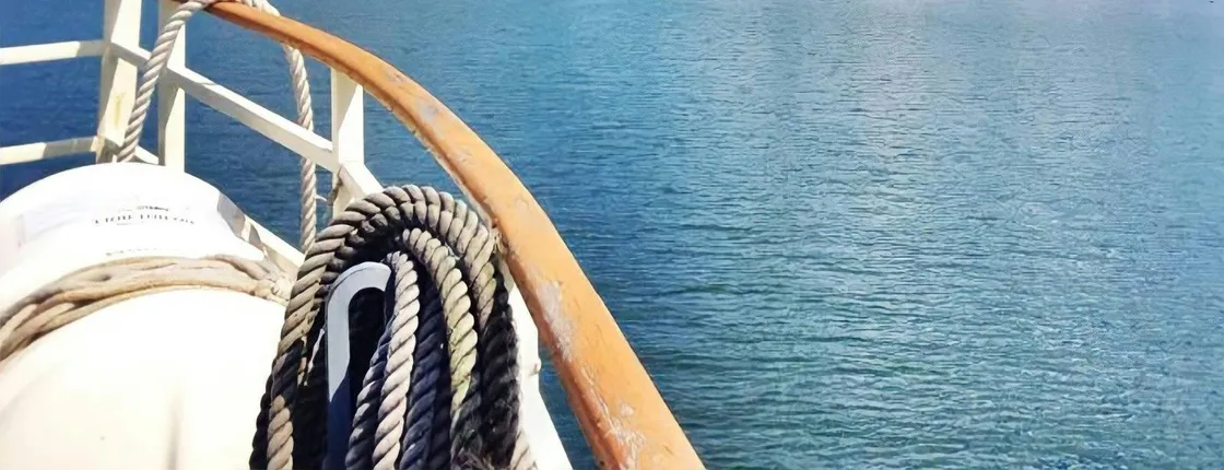 Downtown Toronto Highlight Walking Tour with Optional Harbour Cruise