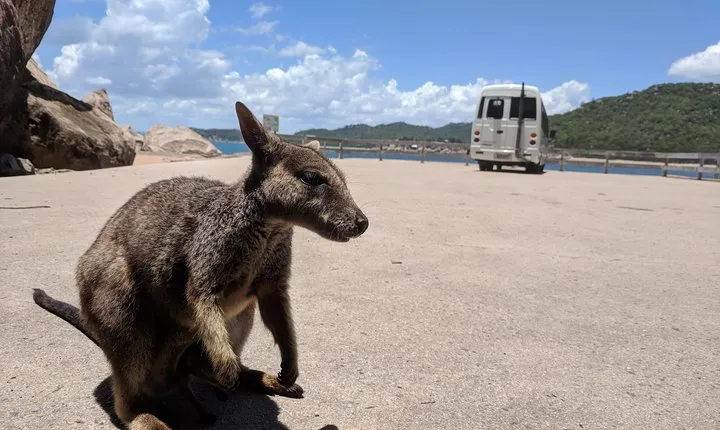 Magnetic Island Tour: Maggie Comprehensive
