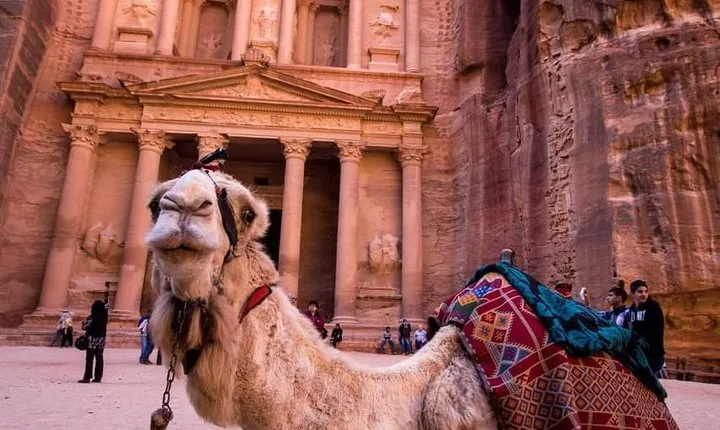 Petra & Wadi Rum - One day tour