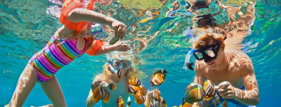 Portobelo Snorkelling and Kayaking Adventure