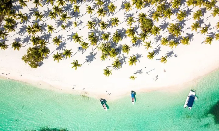 Saona Island Cruise & Private Beach