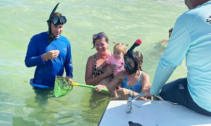 Private 3-Hour Eco Tour with Island Hopping in St. Petersburg, FL