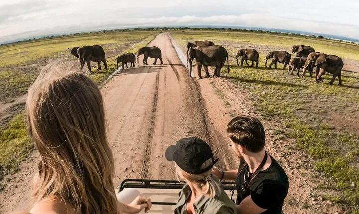 4-Day |Sharing Safari, Tarangire, Serengeti, Ngorongoro