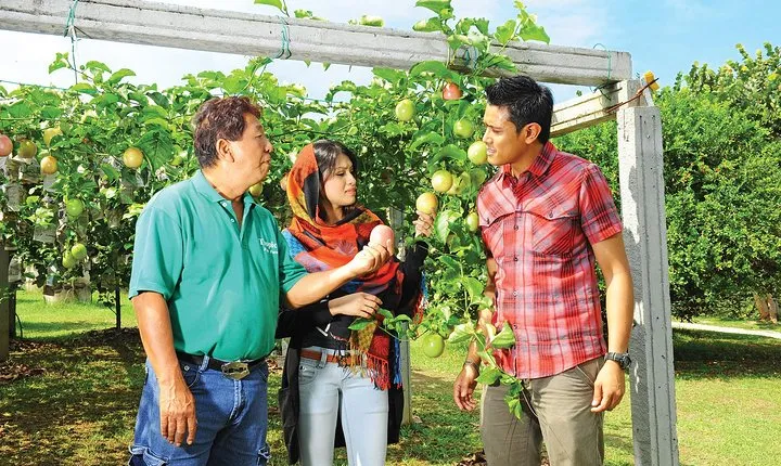 Penang Tropical Fruit Farm with Fruit Tasting