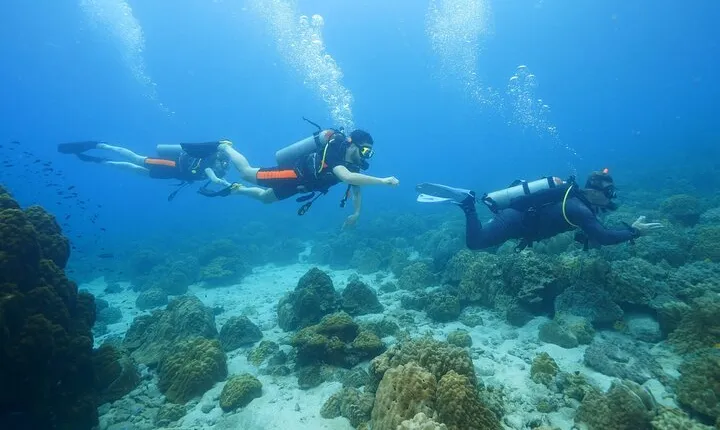 Koh Chang Dive Trip Including 3 Dives (Start at Koh Chang)