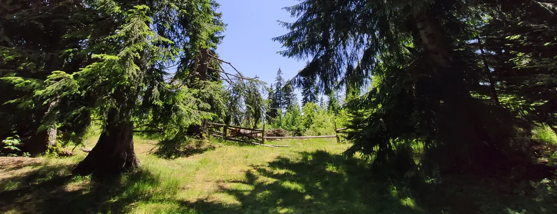 Local Adventures in the Rhodope Mountains