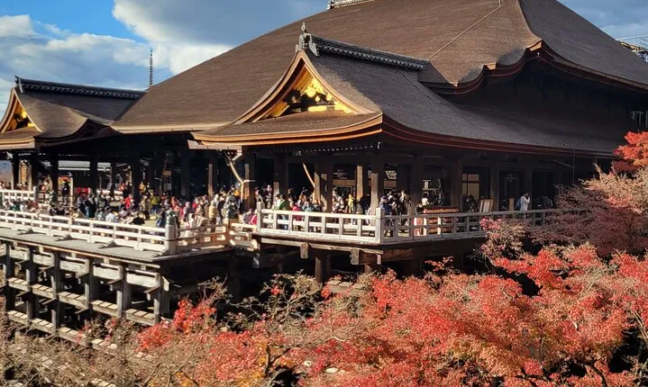 Private Guided Historical Sightseeing Tour in Kyoto