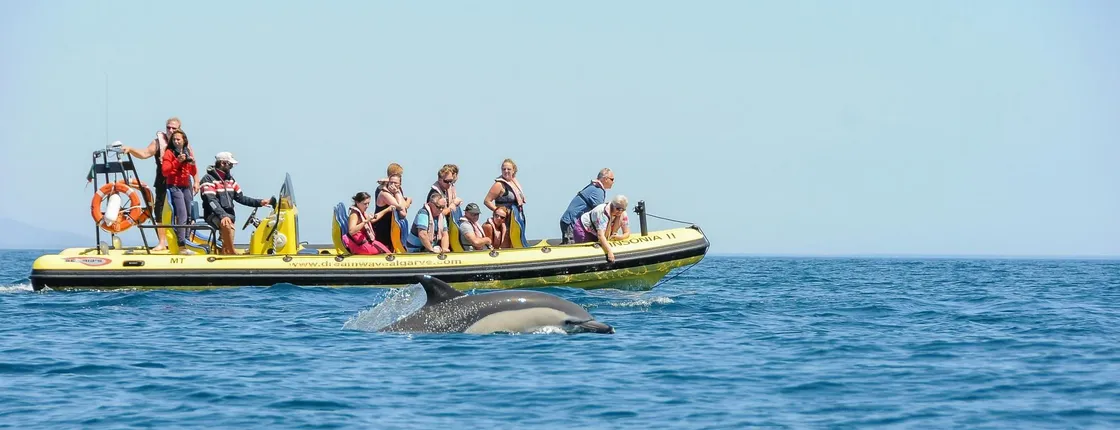Insonia Cave and Dolphins Speedboat with Transport from Albufeira