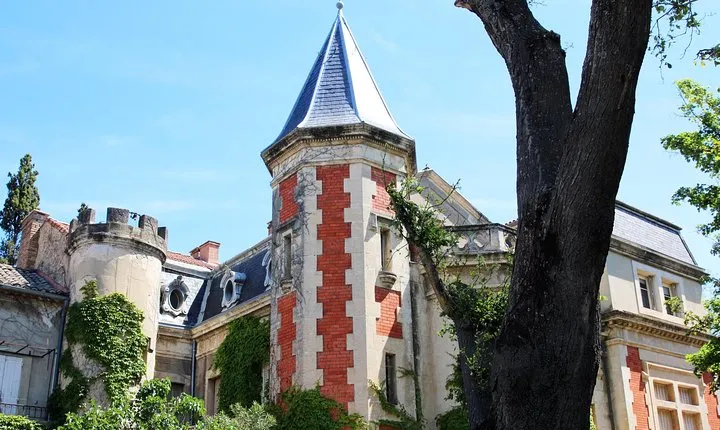Châteauneuf Du Pape intensive vineyard & fine wine experience