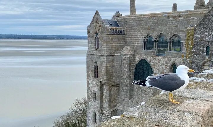 Live Guided Mont Saint-Michel D Day Private trip by Mercedes