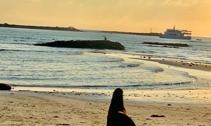 Isabela Island Tour in Galapagos with Kayak