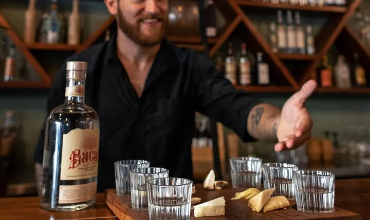 Tequila and Mezcal Tasting in Tulum with Cheese Pairing