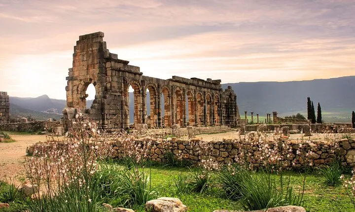 Private Day Tour To Volubilis Meknes and Zerhoun from Fes