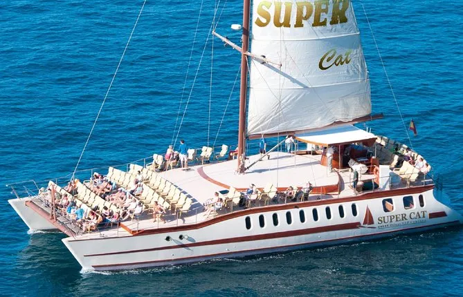 Dolphins Watching and Coastal Catamaran Sailing Cruise
