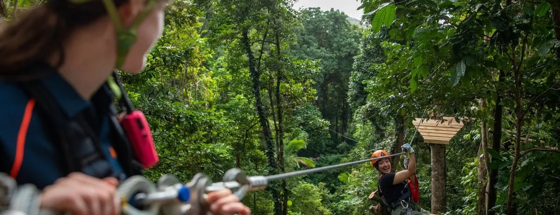 Ultimate Daintree and Cape Tribulation guided tour with meal