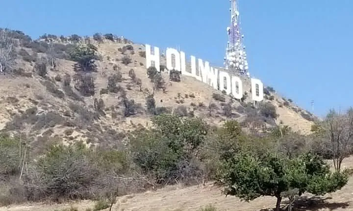 Private Tour: Hollywood Hotel, Restaurants, Bars