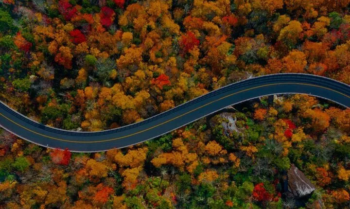 Full Day Tour from Atlanta to Amicalola Falls and Blue Ridge