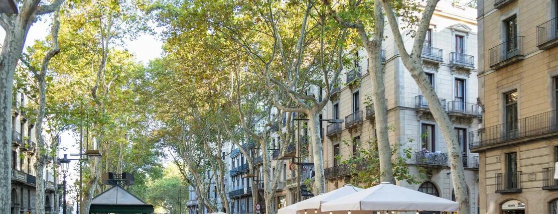 Barcelona On Your Own