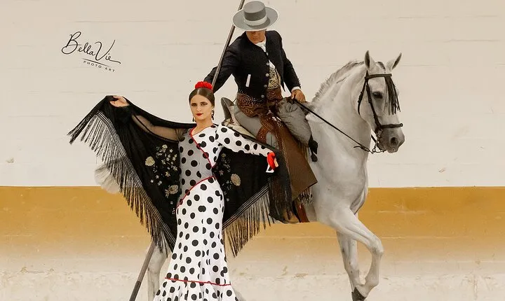 Horse and Flamenco Show in Malaga with Dinner