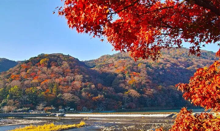 Kyoto Kifune Shrine to Arashiyama Bamboo Forest Tour