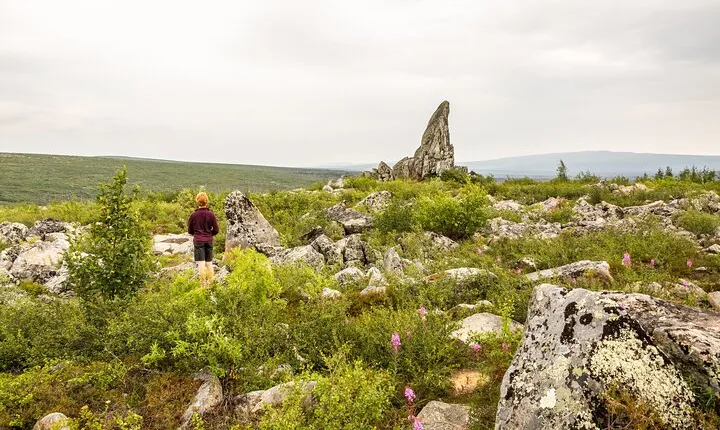 Private Tour Arctic Circle Expedition from Fairbanks