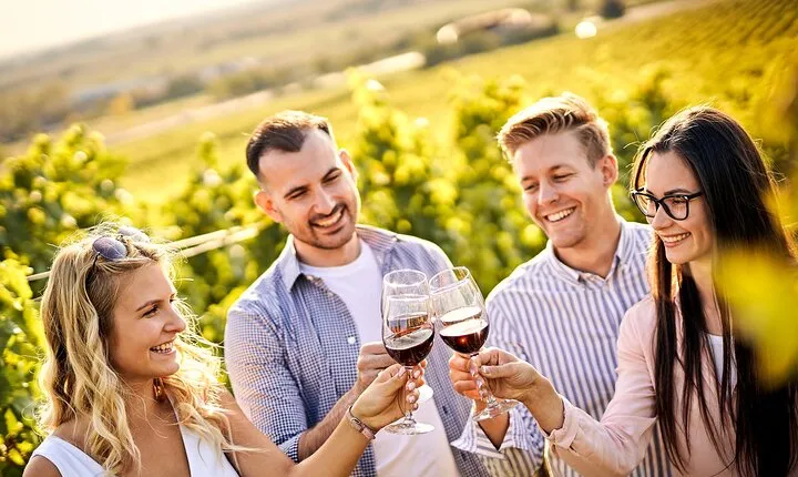 Casablanca world class wines, 4 vineyards & Tanino lunch stop