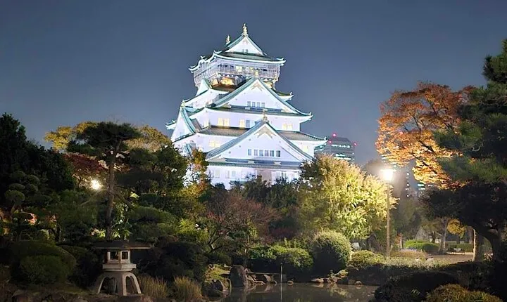 Discover the Hidden Gem of Osaka's Private Walking Tour