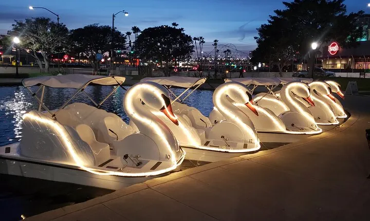 Illuminated Swan Boat Night Ride on Rainbow Lagoon in Long Beach