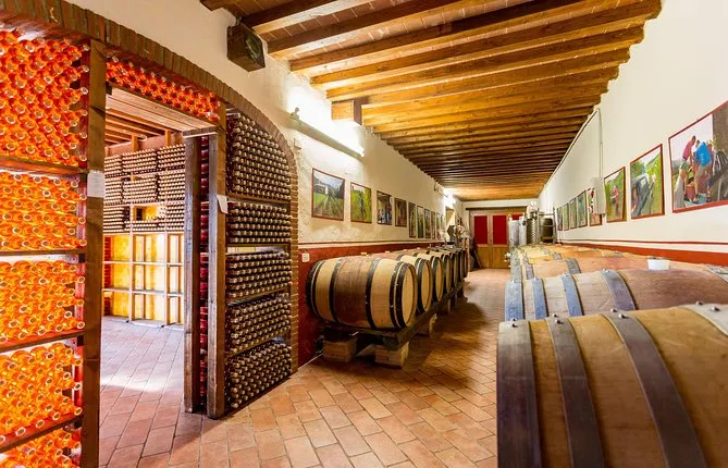 Winery Agriturismo Santo Stefano Castiglion Fiorentino (6 types of wine)