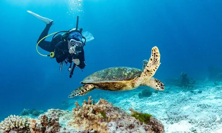 Marsa Mubarak Snorkeling & one intro Dive with Lunch – Marsa Alam