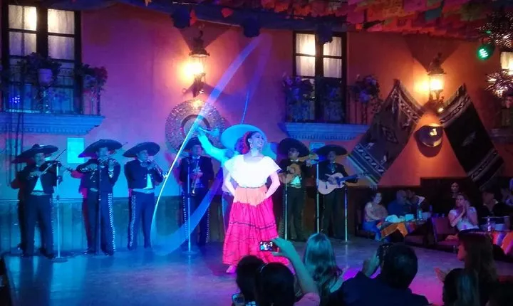 Garibaldi Night Tour