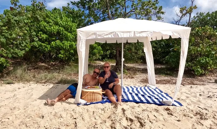 Surfers Paradise to Wavebreak Island Pelican Cruise + Picnic