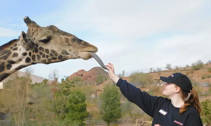 Phoenix Zoo General Admission Ticket